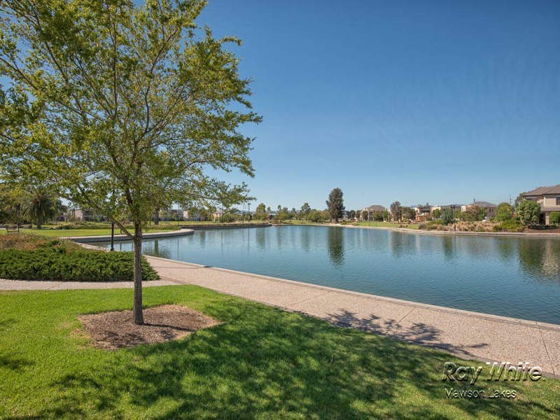 3 Shearwater Drive, Mawson Lakes SA 5095