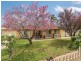 6 Inwood Road, Elizabeth East SA 5112