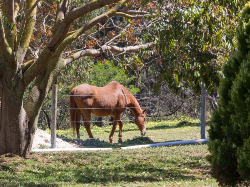 32 Hurst Road, Paracombe SA 5132