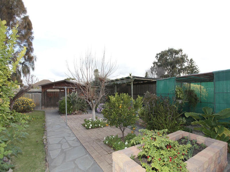 61 Charles Street, Prospect SA 5082