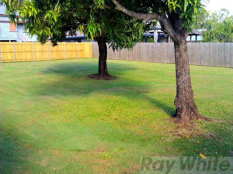 13 Taylor Street, Dinmore QLD 4303