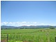 159 Murwillumbah Street, Murwillumbah NSW 2484