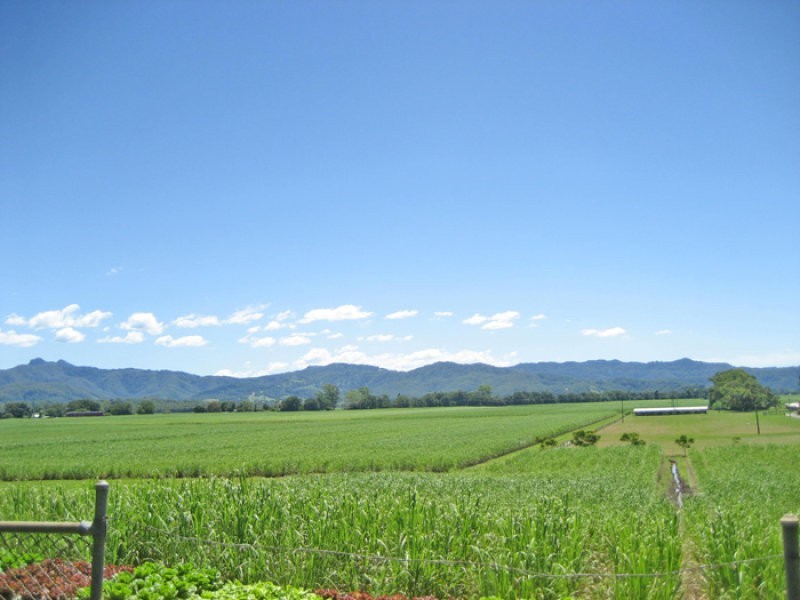 159 Murwillumbah Street, Murwillumbah NSW 2484