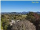 59 Ewing Street, Murwillumbah NSW 2484