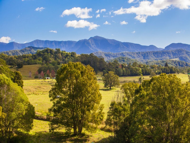 667 Numinbah Road, Murwillumbah NSW 2484