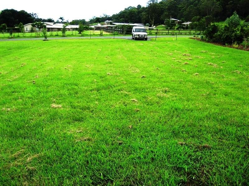 5 Lakeview Place, Currumbin Valley QLD 4223