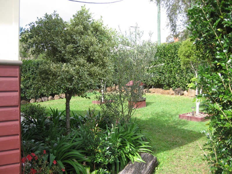 103 Byangum Road, Murwillumbah NSW 2484