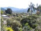37 Myrtle Street, Murwillumbah NSW 2484
