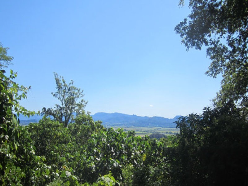 90 Farrants Road, Farrants Hill, Murwillumbah NSW 2484