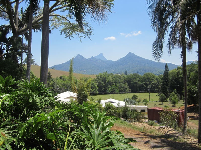 Unit @ 61 Rowlands Creek Road, Uki NSW 2484