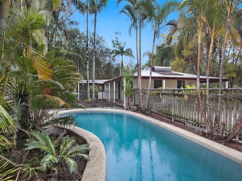 213 Midginbil Road, Midginbil, Murwillumbah NSW 2484