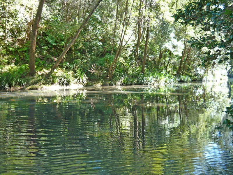 13 Bindaree Place, Murwillumbah NSW 2484