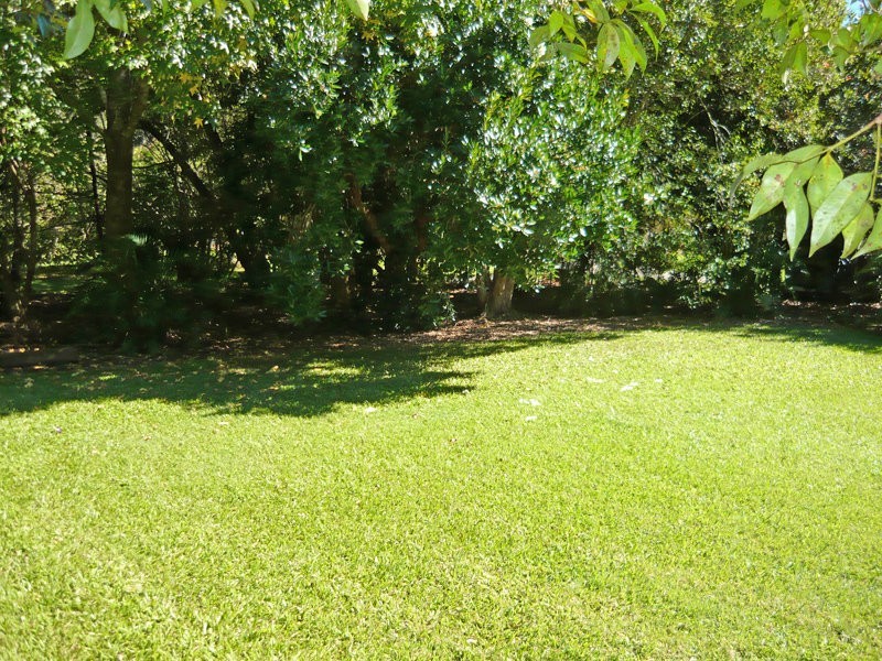 13 Bindaree Place, Murwillumbah NSW 2484