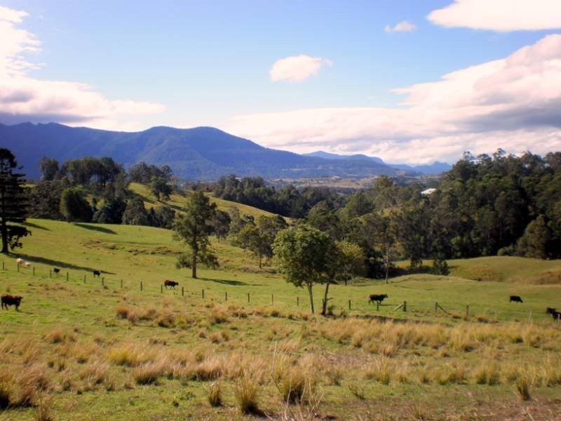 150 acres Pinnacle Road, Tyalgum NSW 2484