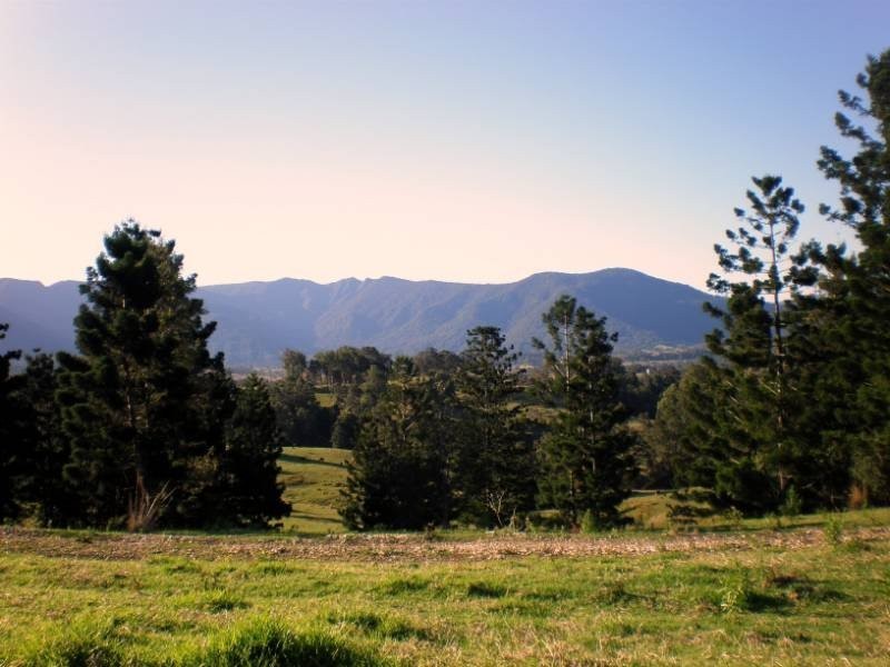 150 acres Pinnacle Road, Tyalgum NSW 2484