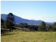 150 acres Pinnacle Road, Tyalgum NSW 2484