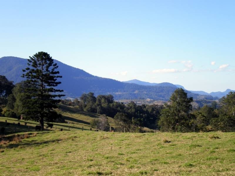 150 acres Pinnacle Road, Tyalgum NSW 2484