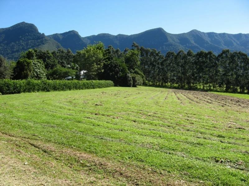 325 Limpinwood Valley Road, Limpinwood NSW 2484