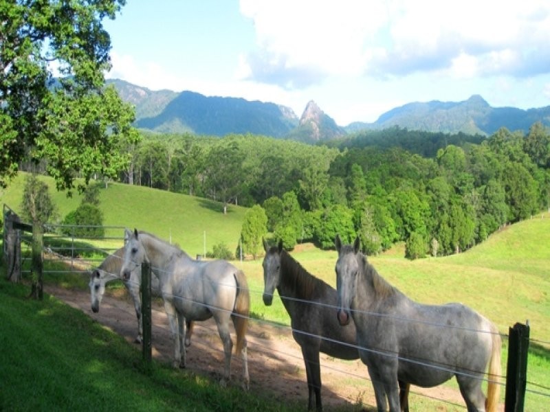 571 Doon Doon Road, Doon Doon NSW 2484