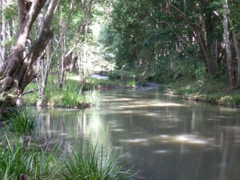 55 Rowlands Creek Road, Uki NSW 2484