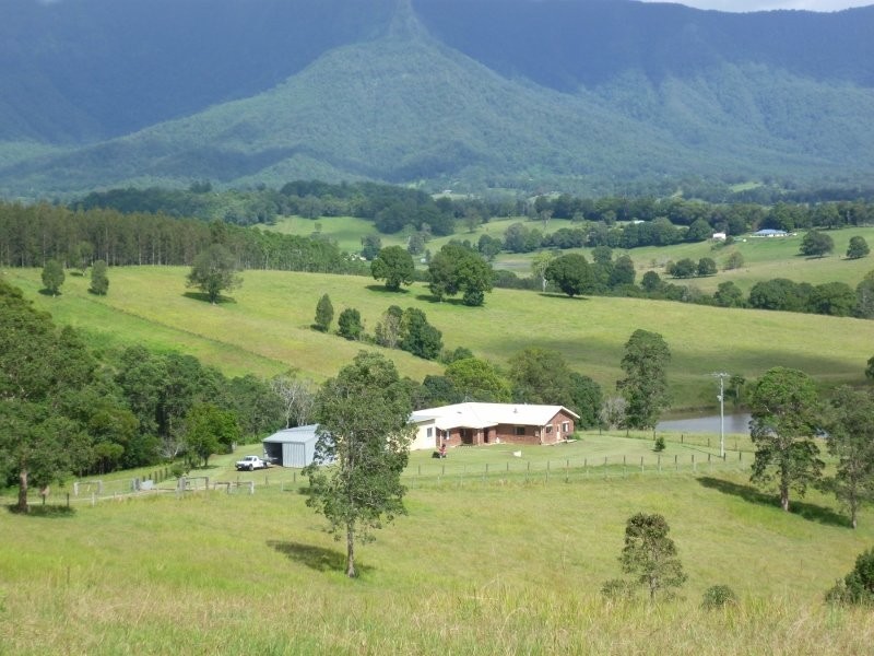 24 Tyalgum Ridge Road, Tyalgum NSW 2484