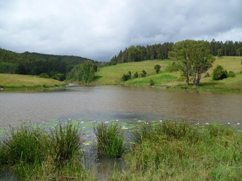 24 Tyalgum Ridge Road, Tyalgum NSW 2484