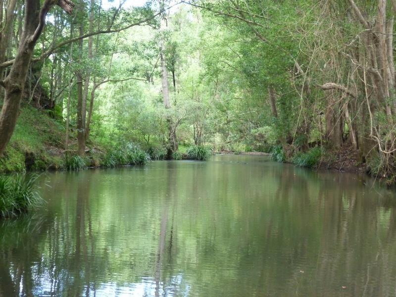 24 Tyalgum Ridge Road, Tyalgum NSW 2484