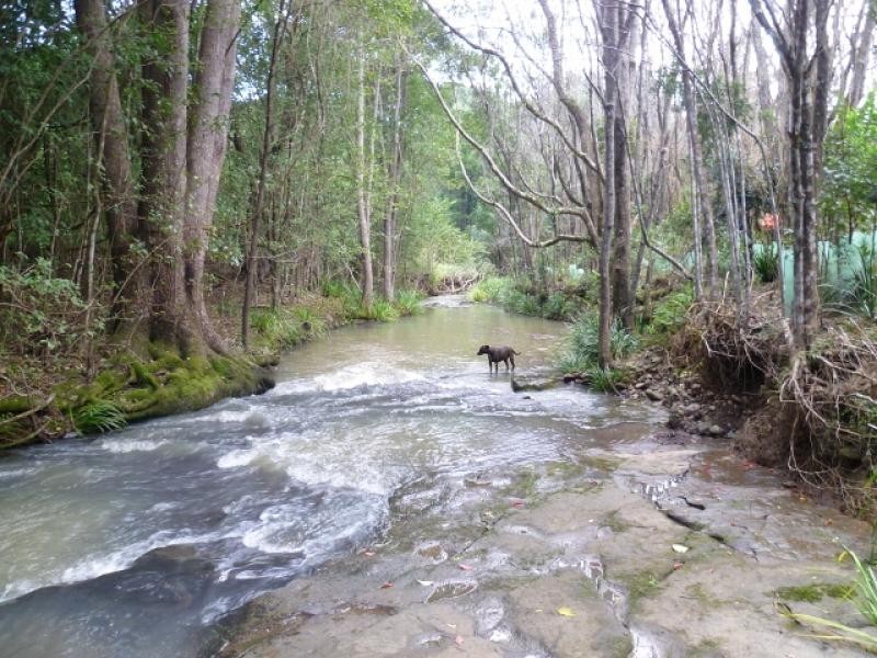 20 Cooloon street, Kunghur NSW 2484