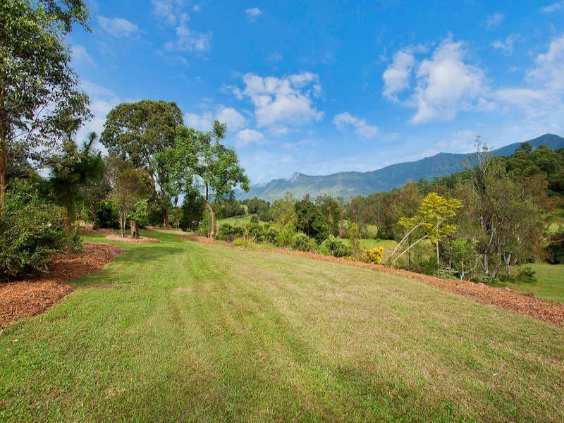 698 Brays Creek Road, Tyalgum NSW 2484