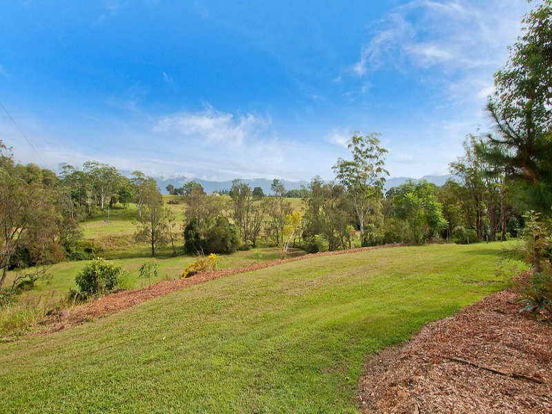 698 Brays Creek Road, Tyalgum NSW 2484