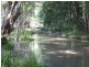 55 Rowlands Creek Road, Uki NSW 2484
