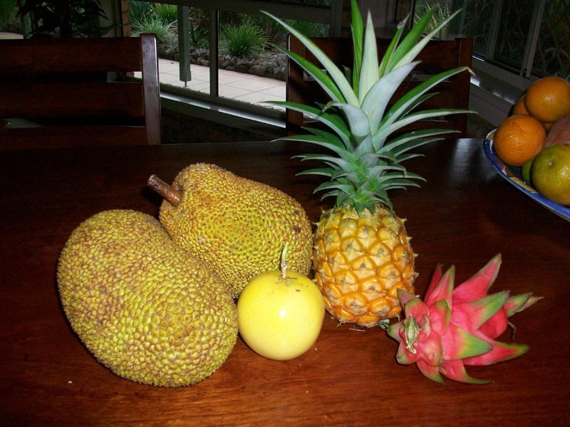 88 Bonnydoon Road, Uki NSW 2484