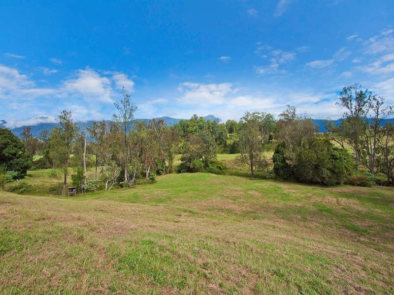 698 Brays Creek Road, Tyalgum NSW 2484