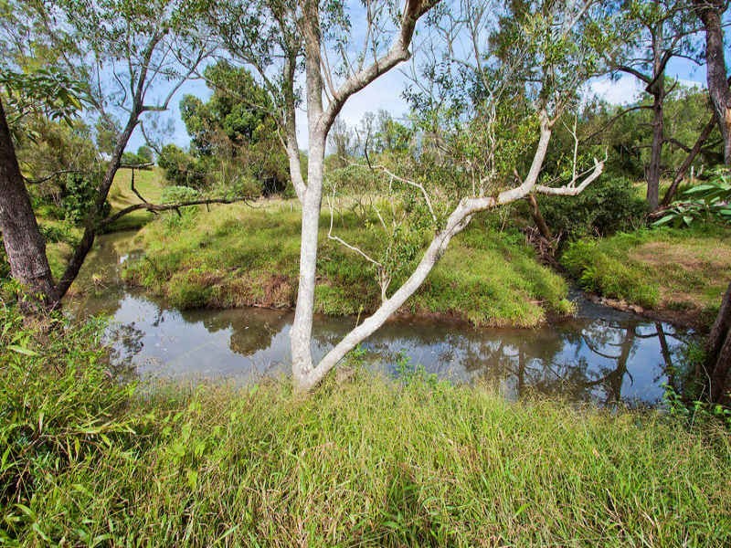 698 Brays Creek Road, Tyalgum NSW 2484