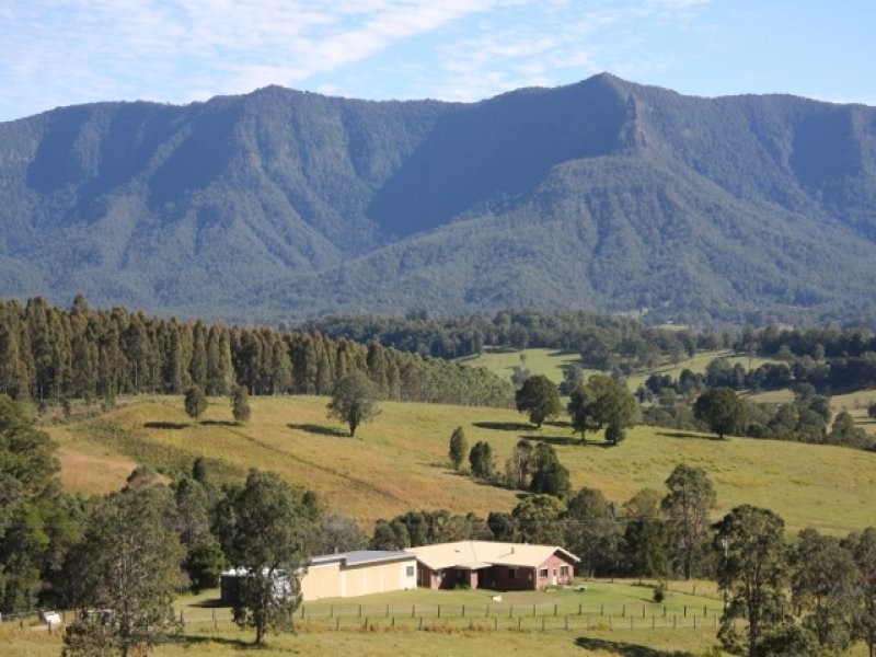 24 Tyalgum Ridge Road, Tyalgum NSW 2484 the real estate agency