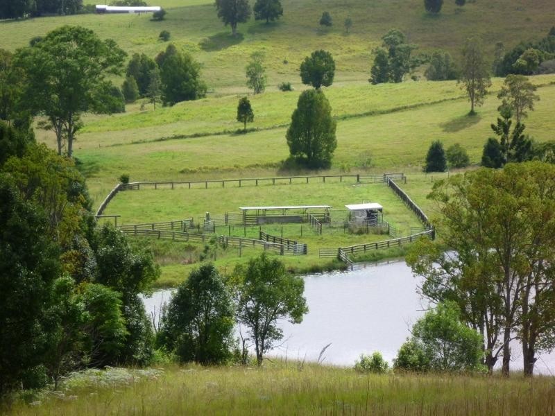 24 Tyalgum Ridge Road, Tyalgum NSW 2484