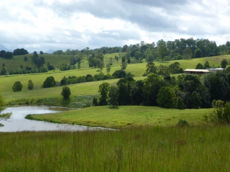 24 Tyalgum Ridge Road, Tyalgum NSW 2484