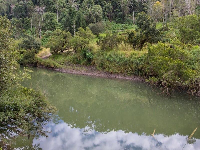 1282 Tyalgum Road, Tyalgum NSW 2484