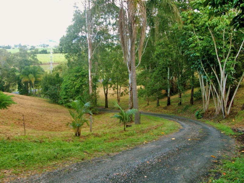 111 Dulguigan Road, Dulguigan NSW 2484