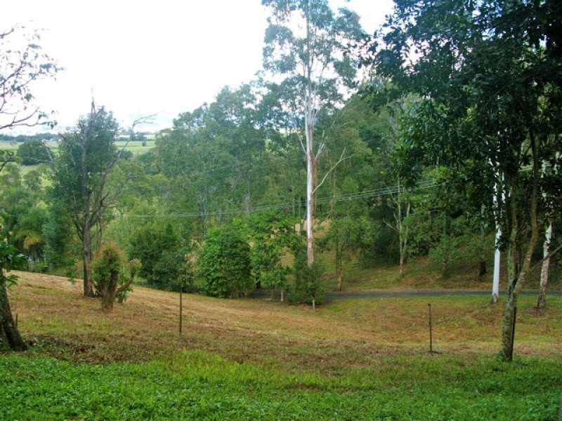 111 Dulguigan Road, Dulguigan NSW 2484