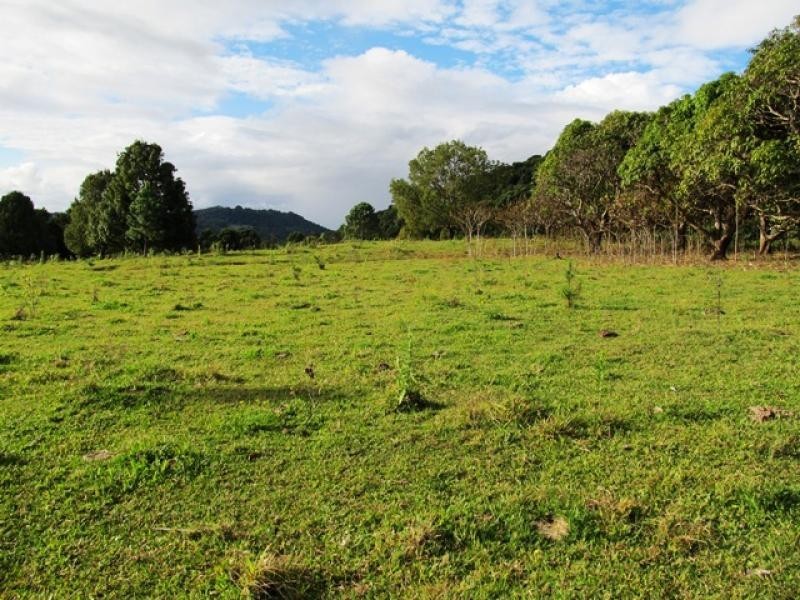 56 Glengarrie Rd, Glengarrie NSW 2486
