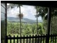56 Glengarrie Rd, Glengarrie NSW 2486