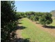 26 Plumtree Pocket, Burringbar NSW 2483