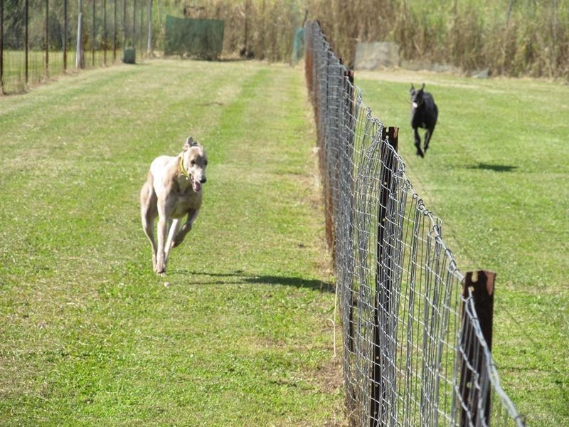 392 Racecourse Road, Murwillumbah NSW 2484