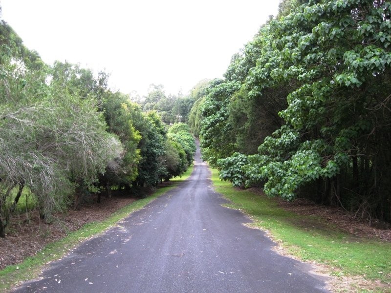 824 Terranora Road, Bungalora NSW 2486