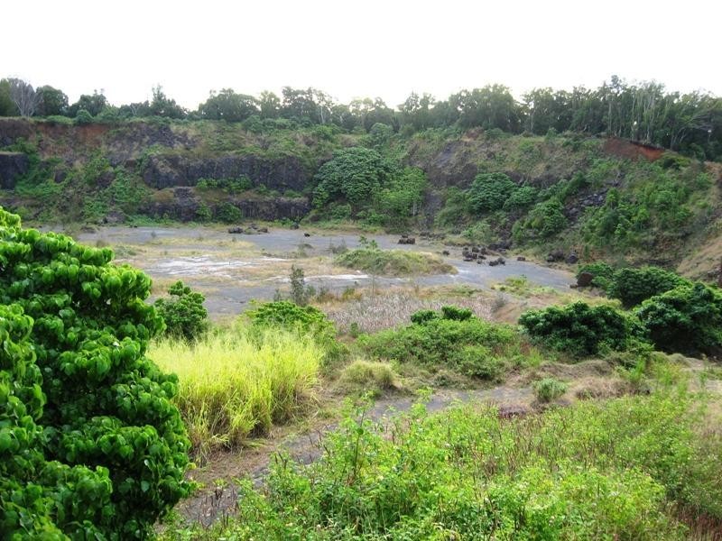 824 Terranora Road, Bungalora NSW 2486