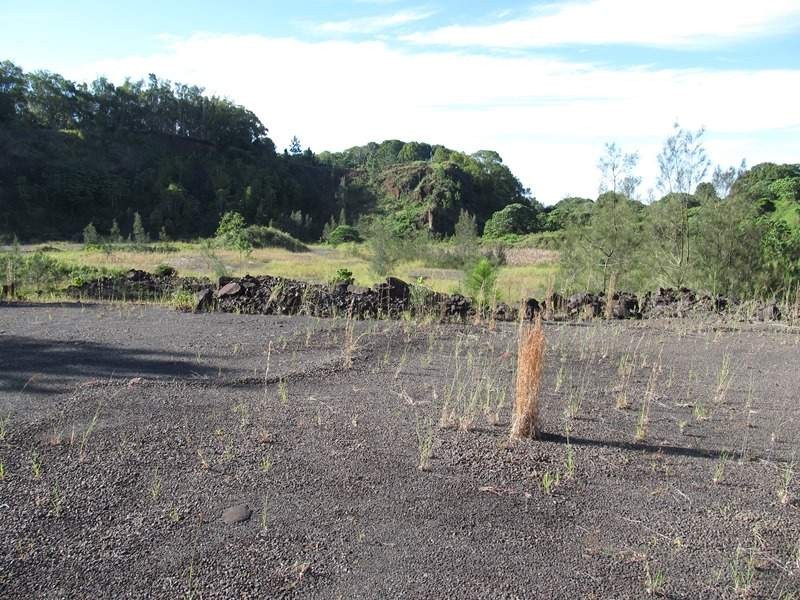 824 Terranora Road, Bungalora NSW 2486