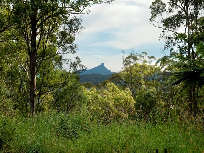 31 Hinchinbrook Road, Burringbar NSW 2483