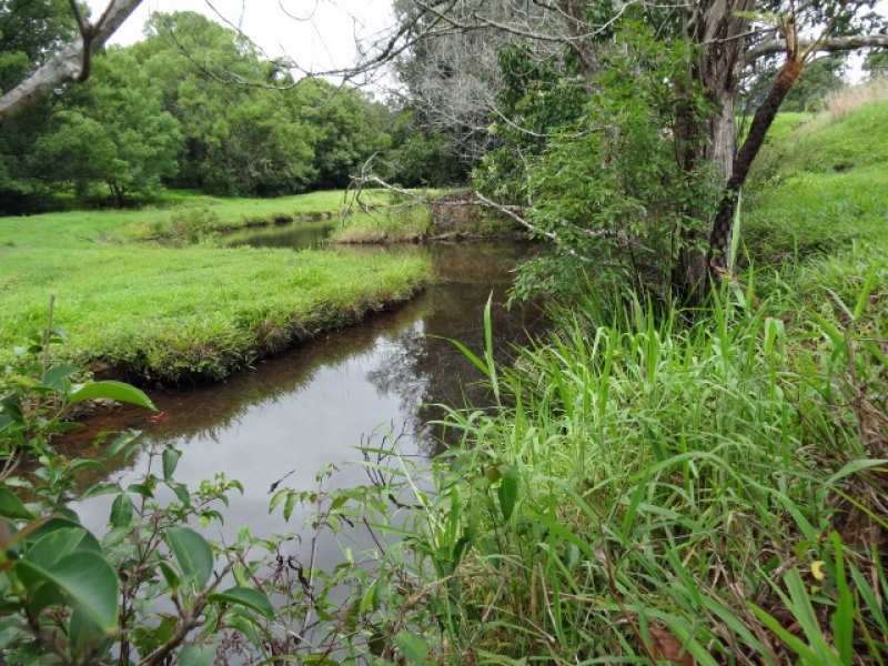 89 Chowan Creek Road, Uki NSW 2484
