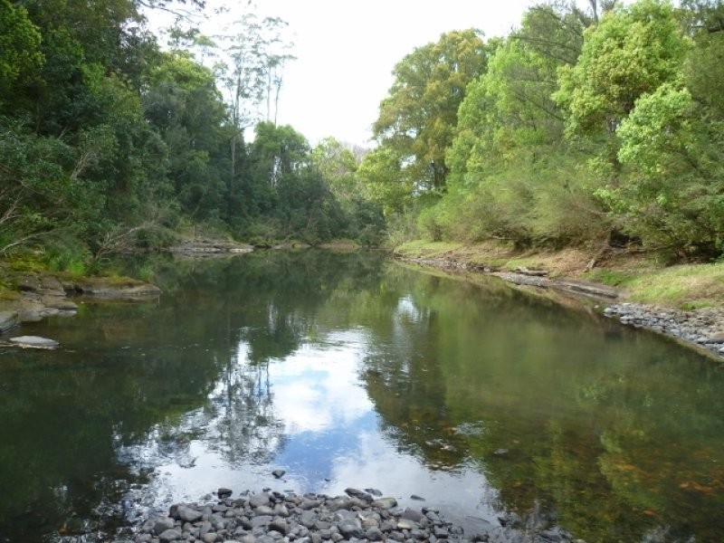 1706 Tyalgum Road, Tyalgum NSW 2484